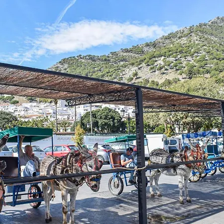 Holiday home Mari Mijas